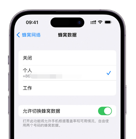 博白苹果维修服务分享如何在iPhone上使用双卡 